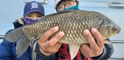 43cm 대물==무료터 청미천