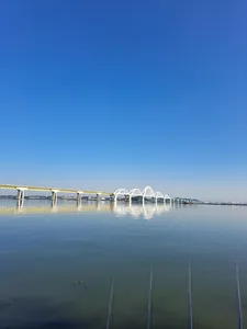 진위천 평택호 조황 