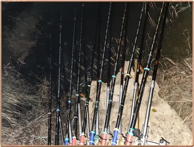 진위천 평택호 조황 