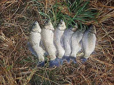 성급하게 다가온 가을시즌