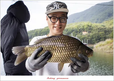 솔 4 짜..화곡지 4 짜 및 월척 조황..