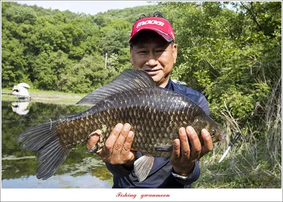 멋진 52 cm..47 cm..