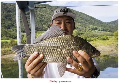 솔 낚시터 41 cm ..종점 허리급 월척 조황..