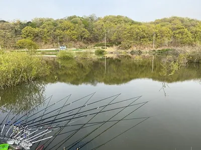 노지 혹부리 4짜===고삼지