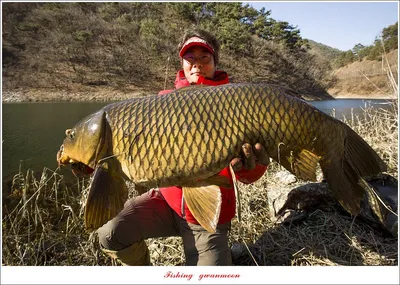 한버들 4 짜 및 충주호 겨울 낚시..