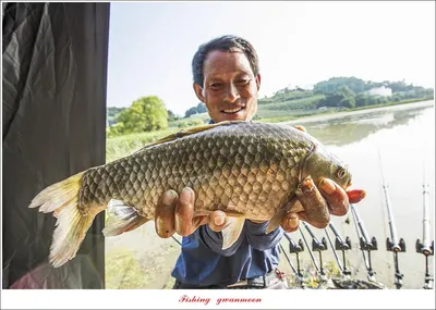 솔 42 cm..한버들 4 짜 3 수..대제지 4 짜..화곡지 조황..