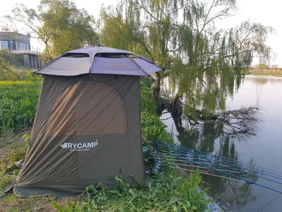 진위천 조황소식