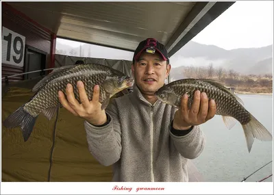 솔 39 cm..35 cm..34 cm..33 cm..월척 조황..