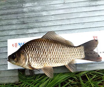 끝나가는 여름-8월말의 저수지 모습