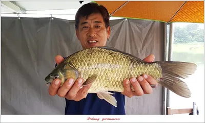 한버들 4 짜 2 수..신리 4 짜..명서 4 짜 및 충주호 노지 현황..