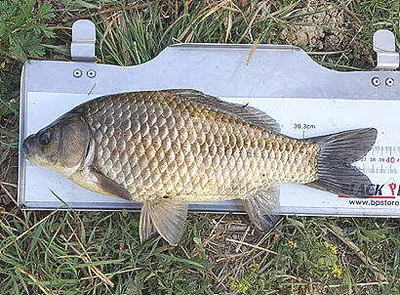 푸르름이 더해가는 4월말의 조황안내 입니다.