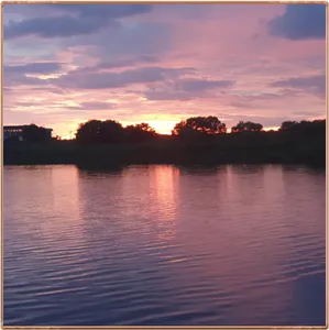 진위천 평택호 조황 