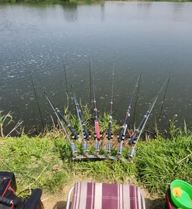 평택호 진위천 조황 소식