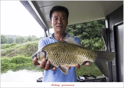 솔 낚시터 41 cm 대물..화곡지 조황..