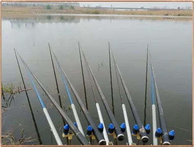 진위천 조황 소식