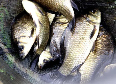 그늘있어 좋은계절-초여름은 맞는 저수지들