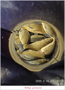 두무소..화곡지 조황..