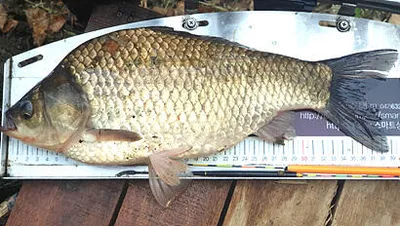 가을이 기다려 지는 시기