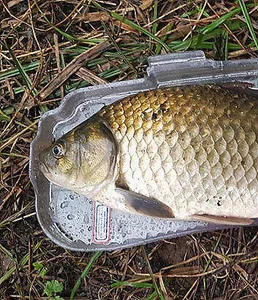 8월 하순의 저수지 상황