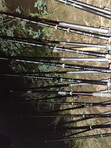 평택호 진위천 조황 소식