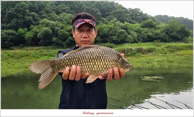 명서 4 짜..한버들 4 짜..화곡지 호조황..