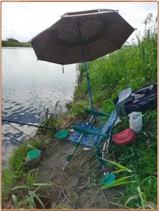 진위천 조황 소식