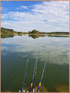 진위천 평택호 조황 