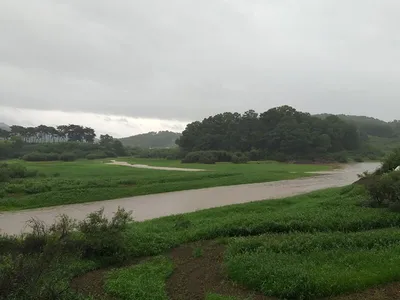 비 내리는 고삼지