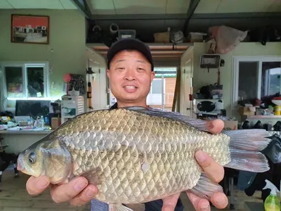 고삼지---오름수위중