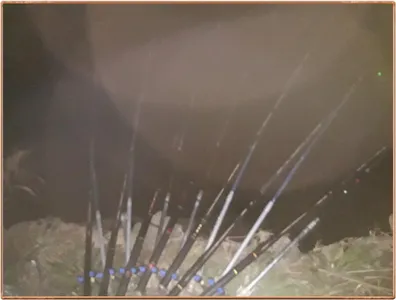 진위천 조황 소식