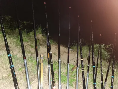 남양호 진위천 조황 소식