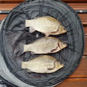 물낚시 시작합니다-송전지