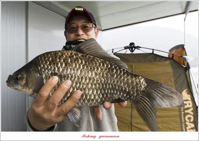 종점 낚시터 4 짜 조황..