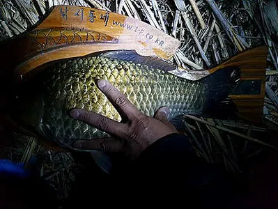 산란기-온화한 4월을 기다리며.....