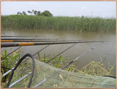 진위천 조황 소식