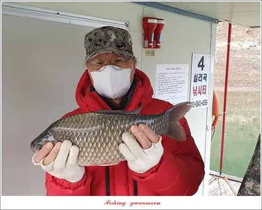 실리곡 44 cm..41 cm..40 cm..돌감 40 cm..사짜 조황 및 이벤트 시상..