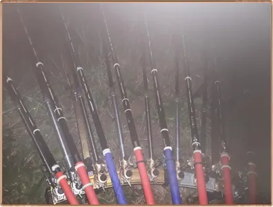 진위천 조황 소식