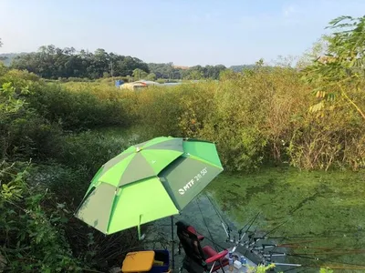 추석선물---고삼지