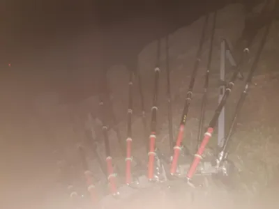 진위천 조황소식