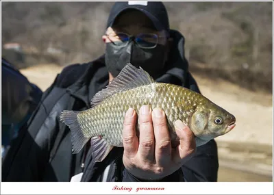 충주호 첫 월척..칠성지..매전지..화곡지 오픈..