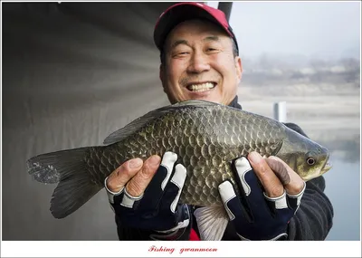 솔 39 cm..32 cm..돌감 34 cm 월척 조황..