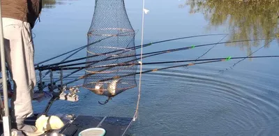 고삼지 노지에서 4짜와 대물 마릿수