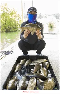 용원지..화곡지 호조황..