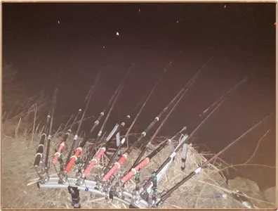 진위천 조황 소식