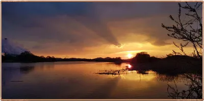 진위천 조황 소식