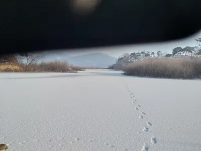 고삼지==얼음낚시 절대 가능합니다