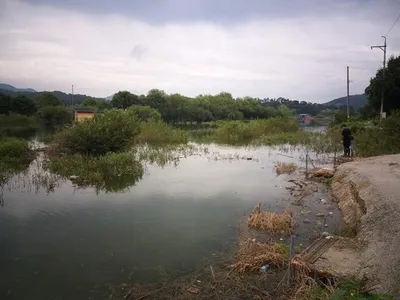 고삼지 노지==터지고 또 터지고