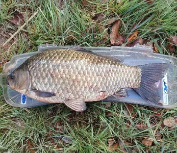 4월중순 부터 5월초 까지는 대물을 만나는 시기