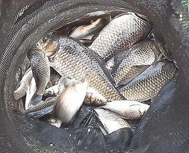 갈수기 낚시-경산권 저수지 상황