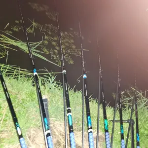 진위천 남양호 평택호 조황 소식